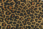 Leopard Series 12 Pack Cooler